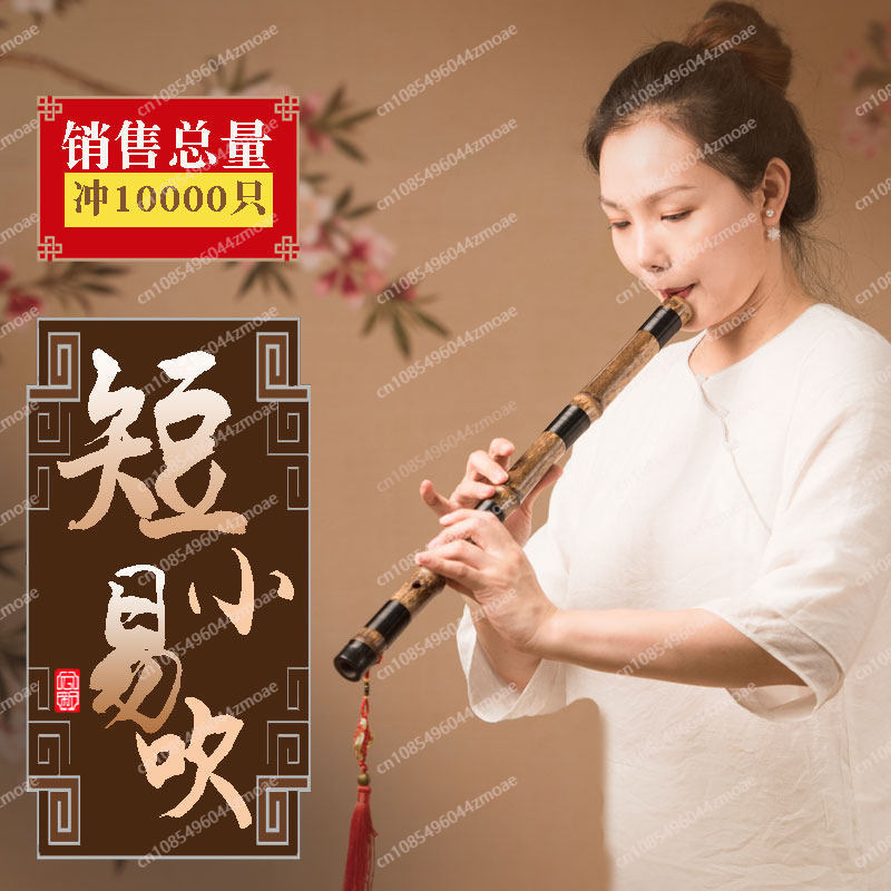 Seruling bambu Xiao pendek pro - Musical Instrument Xiao ulasan dan harga