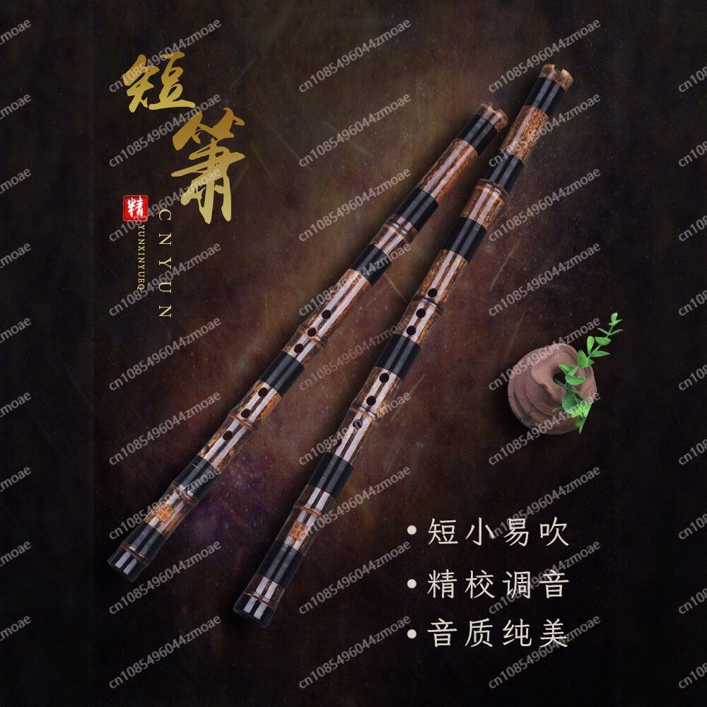 Seruling bambu Xiao pendek pro - Musical Instrument Xiao ulasan dan harga