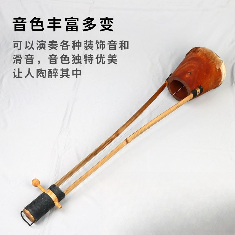 Alat Musik Gopichand dari Asia - Musical Instrument Indian ulasan dan harga